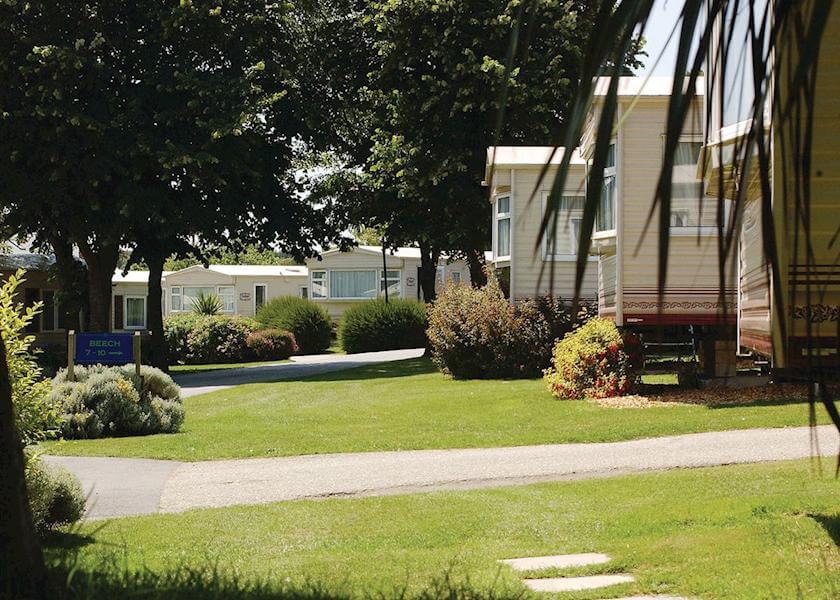 Park Grounds