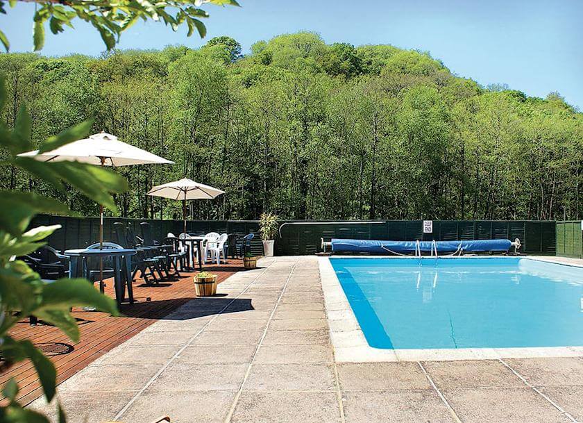 Pool/Beach Area