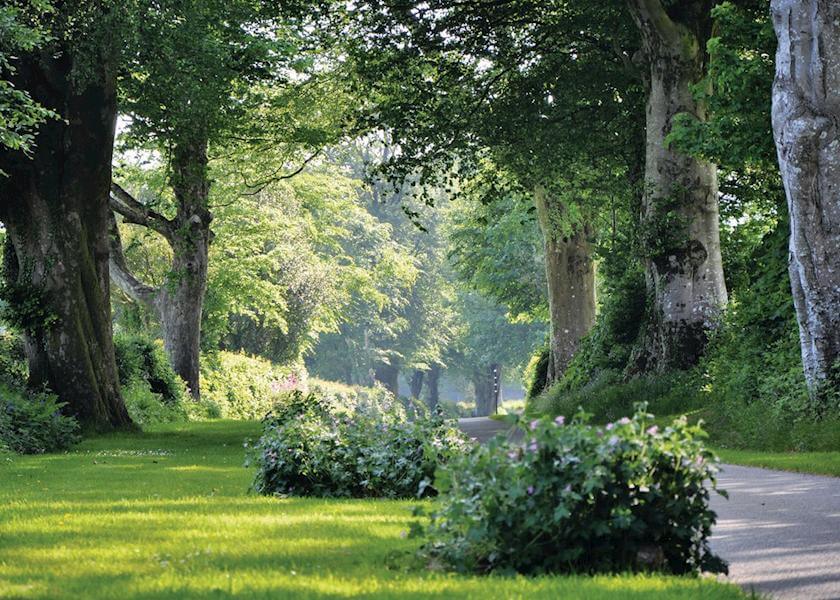 Park Grounds