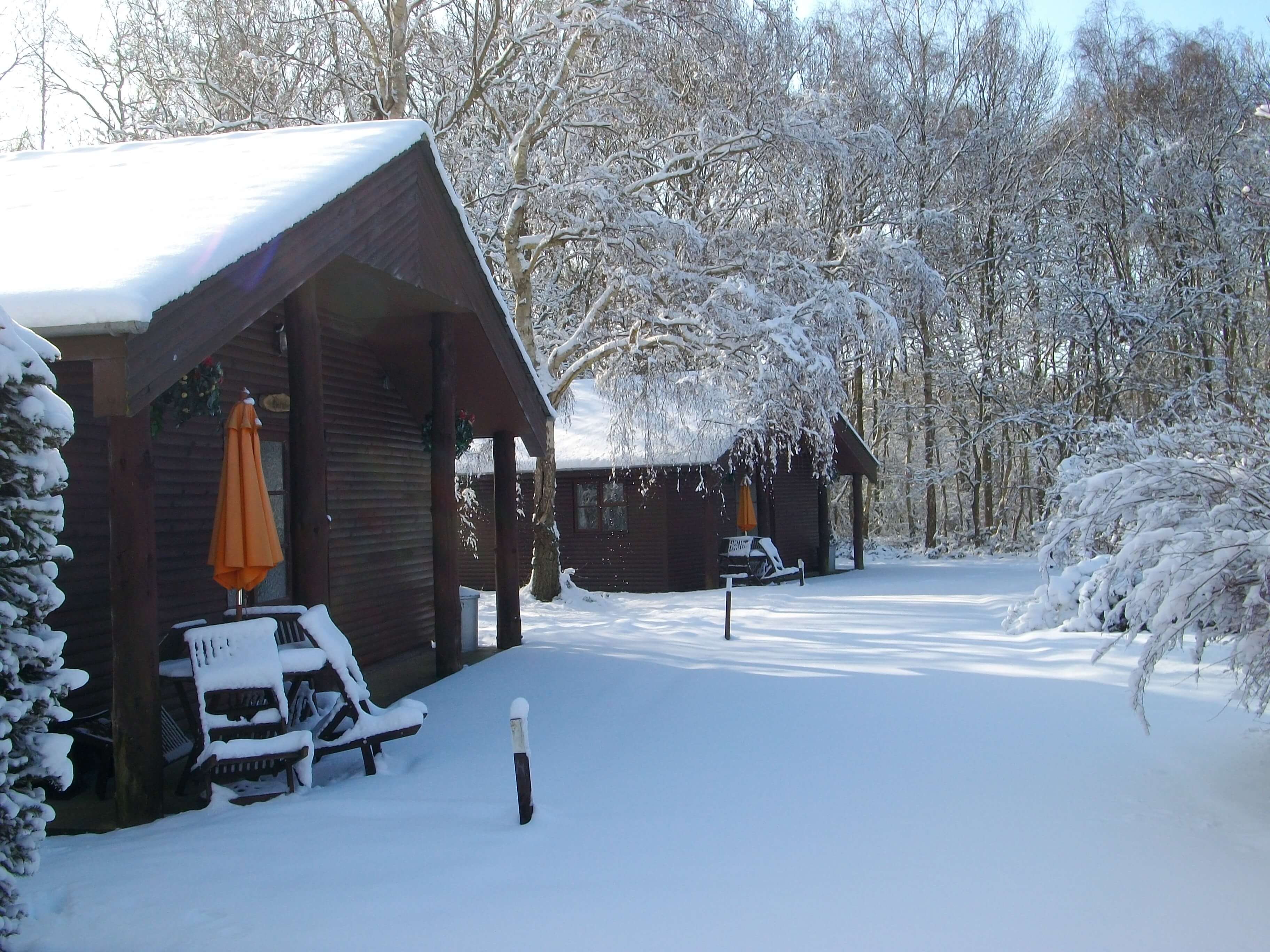 Park Grounds