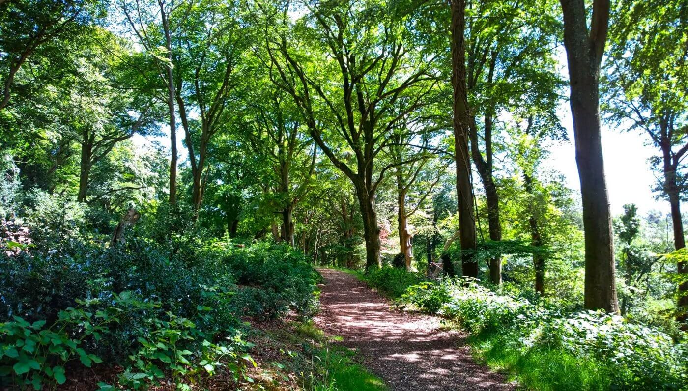 Park Grounds